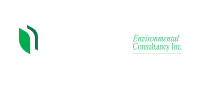 Sage logo Colored